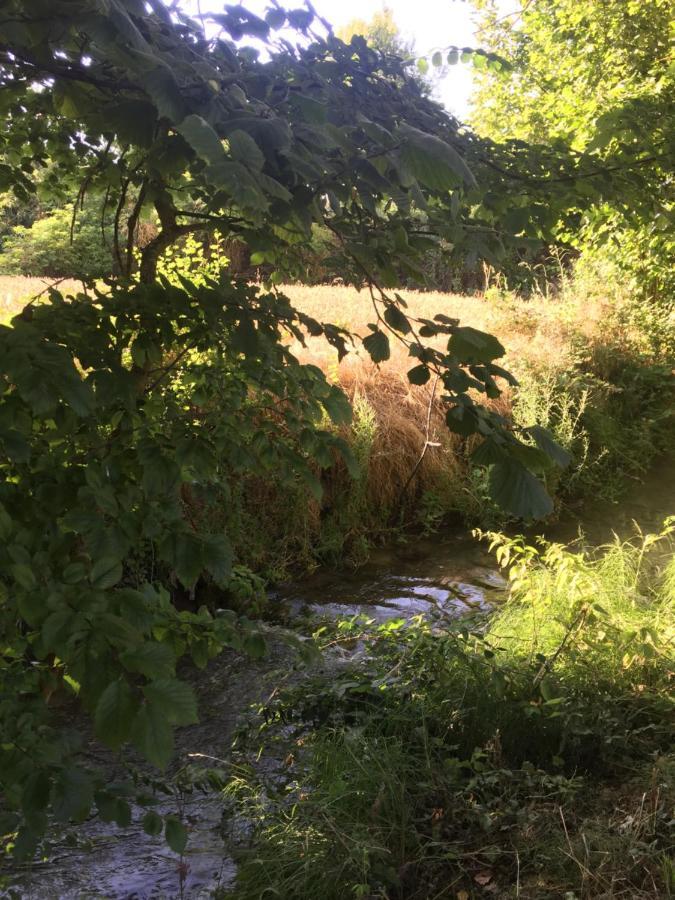 Villa Del Campo Rio Zorita Rublacedo de Abajo Eksteriør bilde